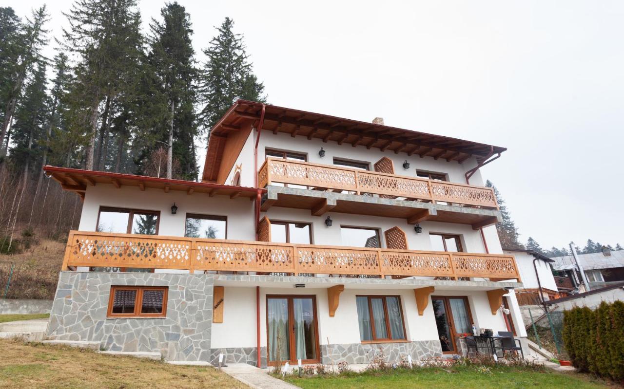 Casa Belcin Spa&Retreat Busteni Exterior photo